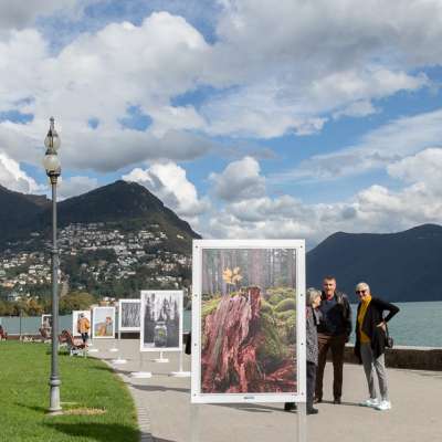 Lugano Preparazione