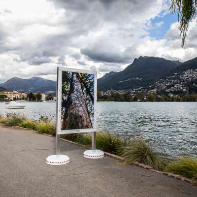 Lugano Preparazione