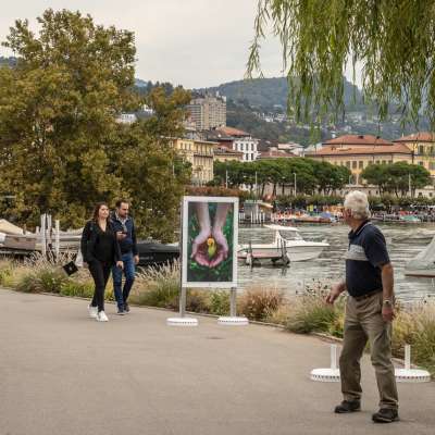 Lugano Preparazione