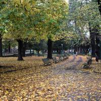 Autunno 