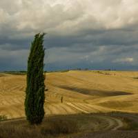 Terra di Toscana