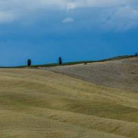 Terra di Toscana