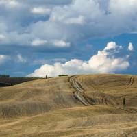 Terra di Toscana