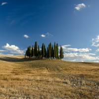 Terra di Toscana