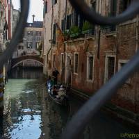 Venezia